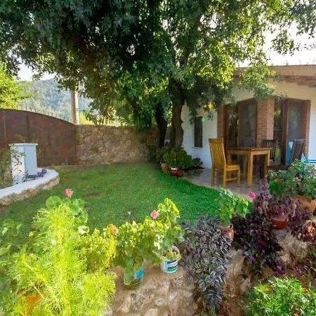 Hackberry Villa